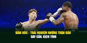 Đấm Bốc - Trải Nghiệm Những Trận Đấu Gay Cấn, Kịch Tính