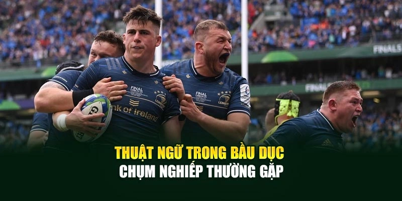 Thuật ngữ trong bầu dục chụm nghiếp thường gặp